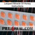 Leopard Miracle Of Honey Instructions 26